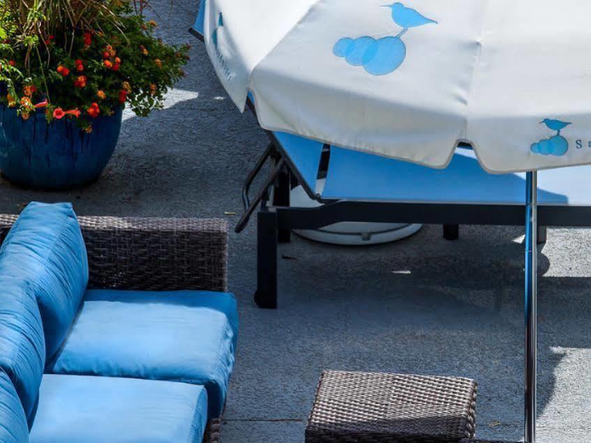 Sandpiper Beach Club Cape May Extérieur photo